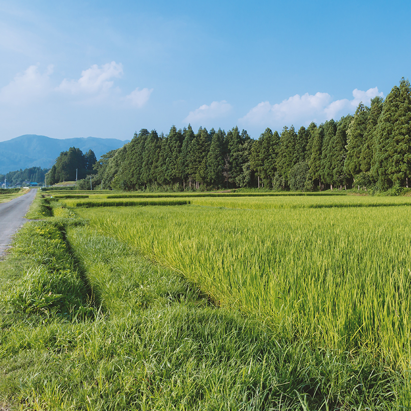 東京都から京都府に移住しました！